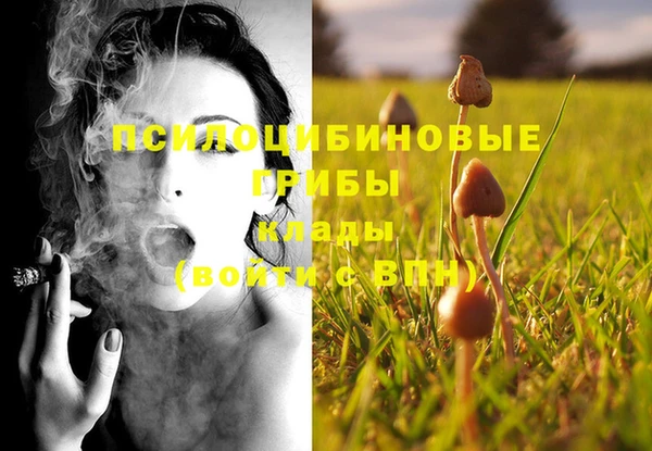 мдпв Новодвинск