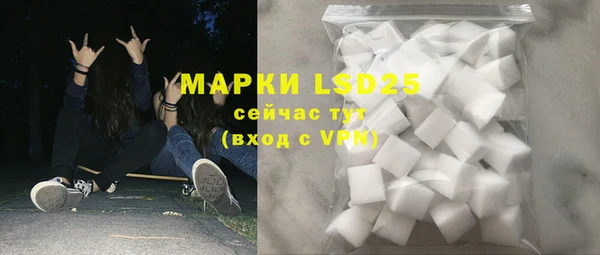 ПСИЛОЦИБИНОВЫЕ ГРИБЫ Новозыбков