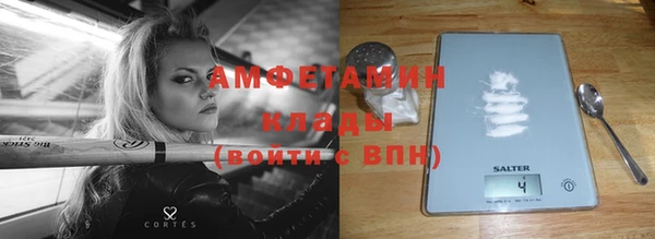 ПСИЛОЦИБИНОВЫЕ ГРИБЫ Новозыбков