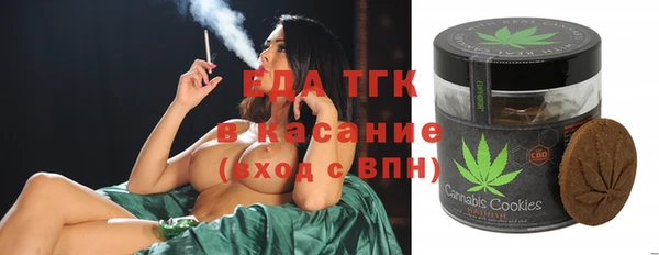 ПСИЛОЦИБИНОВЫЕ ГРИБЫ Новозыбков