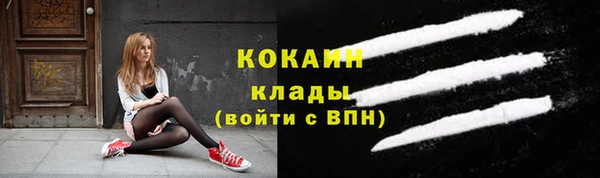 дживик Абинск