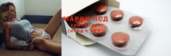 стаф Новокубанск