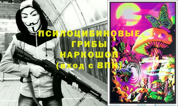 стаф Новокубанск